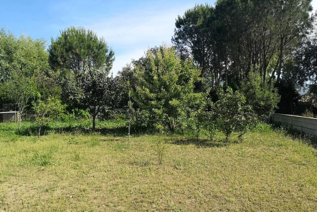 Cottege Pegaso Holiday home