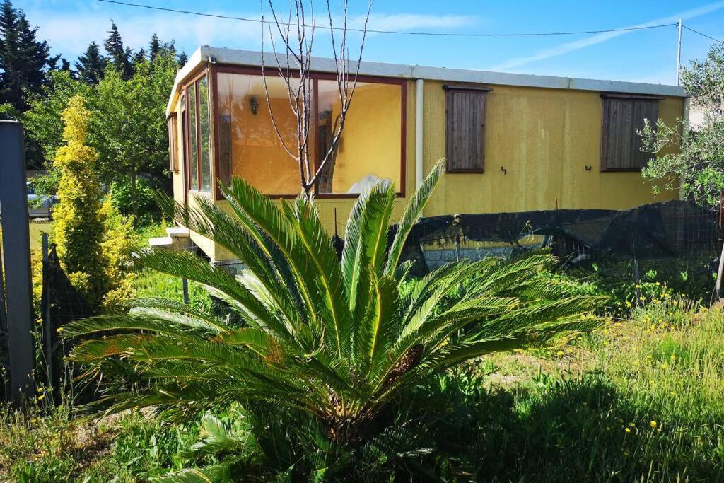 Cottege Pegaso Holiday home Olbia