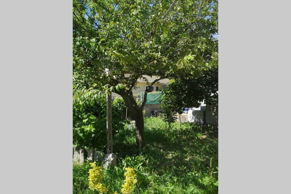 Holiday home Cottege Pegaso *